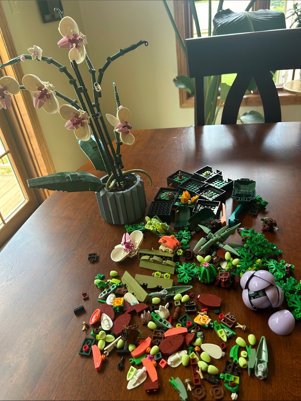 LEGO - Botanical Orchid and Succulent Set